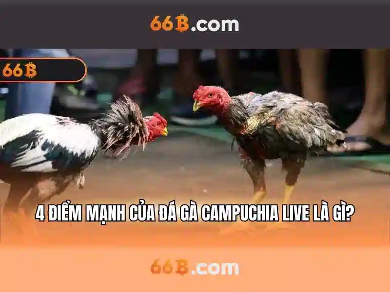 66b chính chủ - 66B 66b chính chủ - 66B