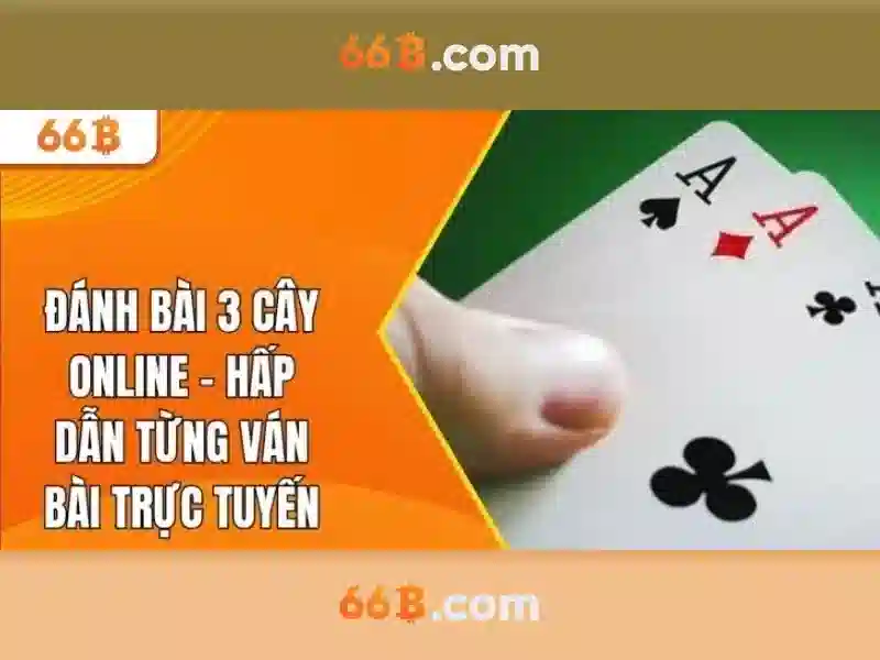 💎365 cá cược net💎 💎365 cá cược net💎