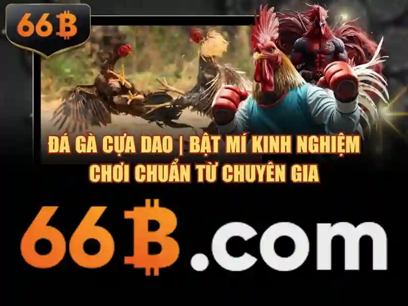 💎tỷ lệ cá cược bong da💎 💎tỷ lệ cá cược bong da💎
