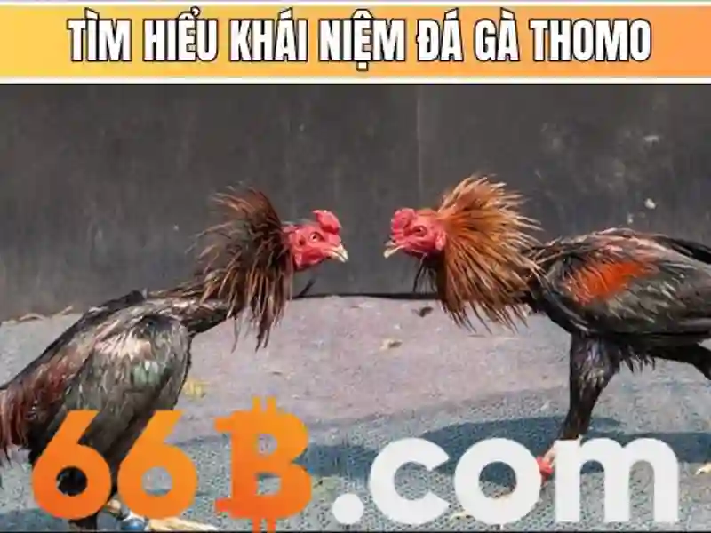 💎keo góc nhà cái💎 💎keo góc nhà cái💎